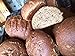 Organic Sprouted Wheat Ezekiel Bread by 20 Shekels - Fresh Baked Bread, High Protein, Fiber, Non GMO, Healthy Organic Food - 16oz each - (2 PACK)