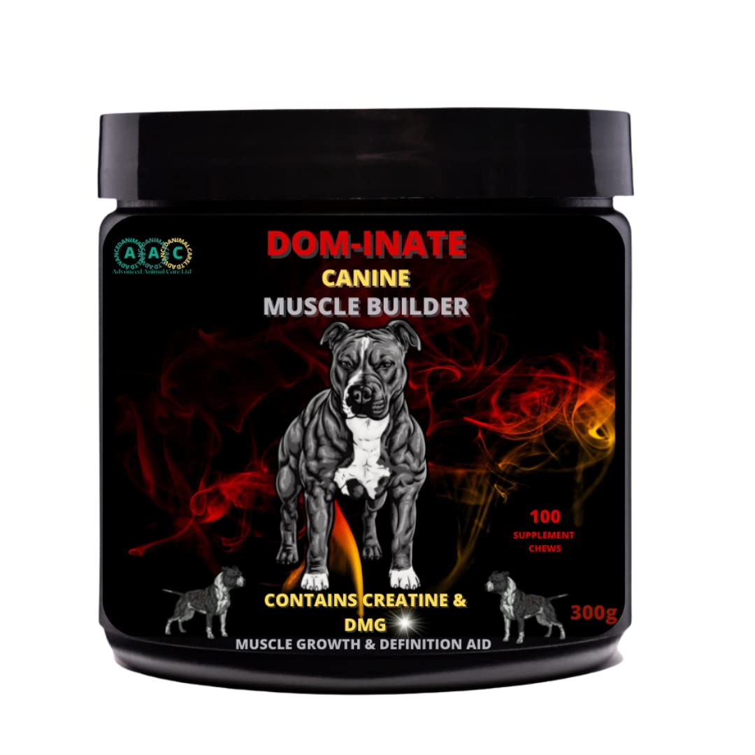 Dog Muscle Builder All Breeds Muscle Gainer for Dogs Dominate Bully Maximum Gain Strength Energy Chew