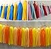 Zorpia® 15pcs Tissue Paper Tassels Garland, Mixed 3 Colors(Pink+ light pink+ rose)