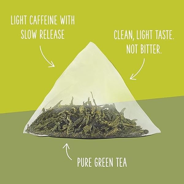 TWO LEAVES AND A BUD ORGANIC TAMAYOKUCHA GREEN TEA BAGS, WHOLE LEAF GREEN TEA IN COMPOSTABLE SACHETS, JAPANESE GREEN TEA, LIGHT FLAVOR, 100 COUNT (PACK OF 1)