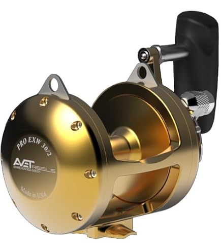 Amazon.com : AVET JX 6/3 Lever Drag MC Conventional 2 Speed Reel