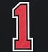 Chicago Bulls Derrick Rose # 1 NBA Youth Big Boys Alternate Replica Jersey - Black