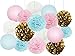 Gender Reveal Party Supplies Boy or Girl Baby Shower Decorations Baby Blue Pink White Gold Tissue Paper Pom Pom Paper Lanterns for Pink and Blue Decorations/Gender Reveal Party Decorations