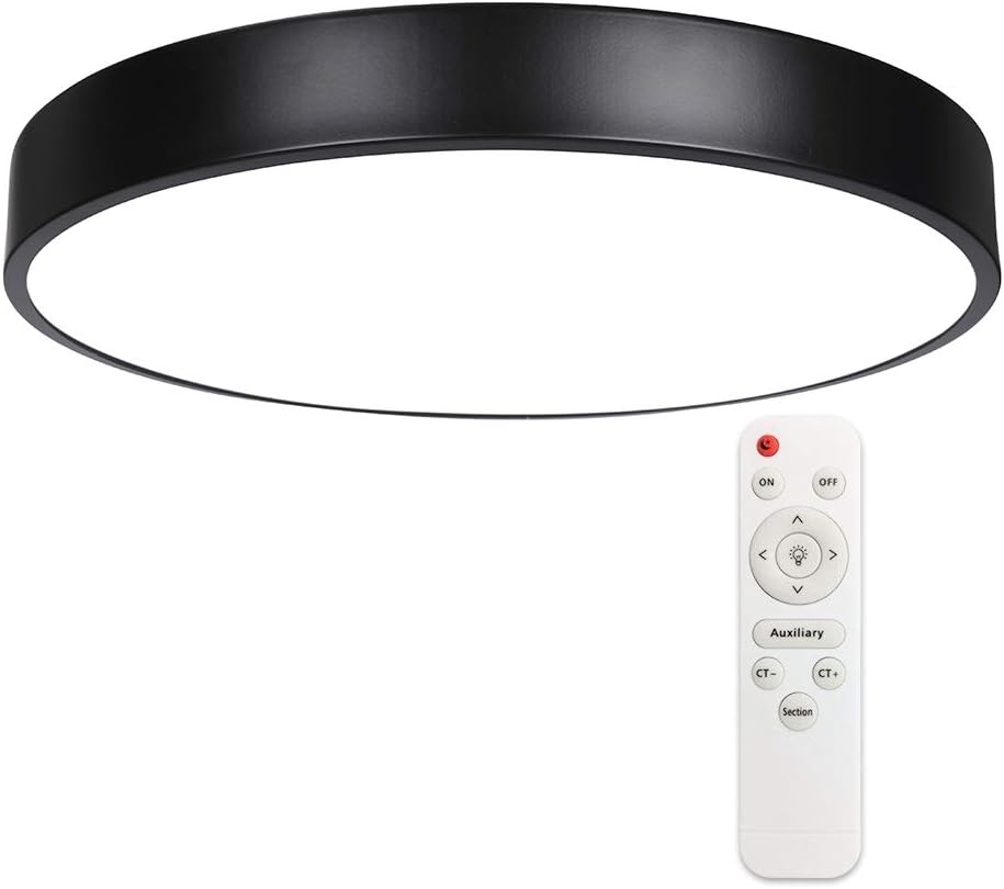 THINHIGH LED Ceiling Light with Remote, Flush Mount 15" Lighting Fixture for Kitchen Dining Living Room TLCB-24