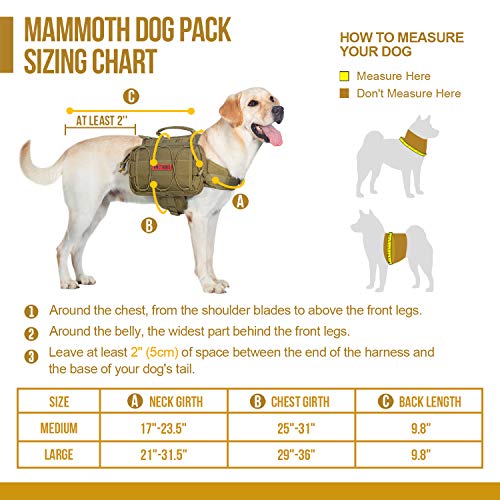 dog running backpack