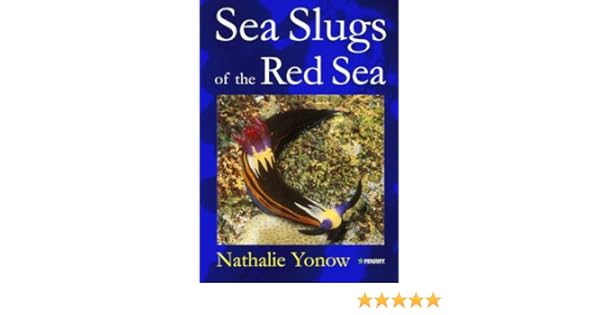 Amazoncom Sea Slugs Of The Red Sea Pensoft Series - 
