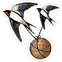 Andrews Mall European or African Swallow? Stickers (3 Pcs/Pack)