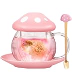 Tea Glass Infuser Tasse à thé avec Filtre et Couvercle mug thé avec infuseur en INOX intégré