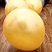 12 Inches Gold Color Latex Balloons Party Decoration Accessories & Party Favors(Pack of 100)