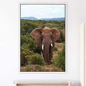 signwin Framed Canvas Wall Art Elephants Animals Dramatic...