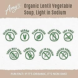 Amy’s Soup, Vegan Lentil Soup, Light in