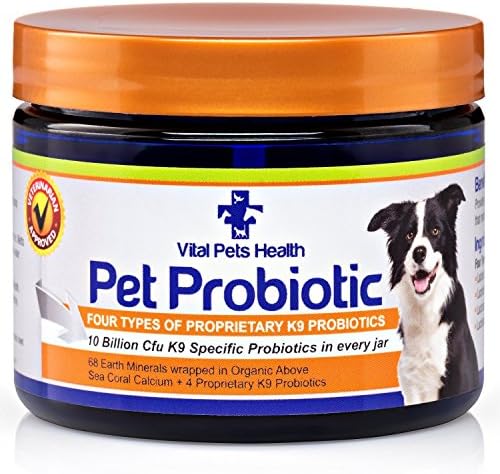 Vital Pets Health Pet Probiotic for Dog, 10 Billion CFU, 170 grams(6-Ounce)