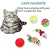 21-Pcs-Cat-Toys-for-Indoor-Cats-Collapsible-Cat-Tunnel-Interactive-Feather-Teaser-Wand-Ball-Toy-for-Kitten-Cats 21 Pcs Cat Toys for Indoor Cats Collapsible Cat Tunnel Interactive Feather Teaser Wand Ball Toy for Kitten Cats