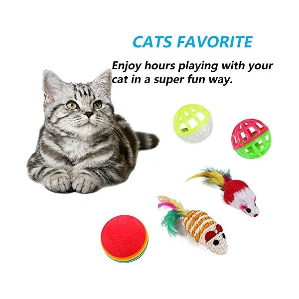 21-Pcs-Cat-Toys-for-Indoor-Cats-Collapsible-Cat-Tunnel-Interactive-Feather-Teaser-Wand-Ball-Toy-for-Kitten-Cats 21 Pcs Cat Toys for Indoor Cats Collapsible Cat Tunnel Interactive Feather Teaser Wand Ball Toy for Kitten Cats