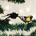 Old World Christmas Bird Watcher Collection Glass Blown Ornaments for Christmas Tree Hooded Oriole