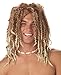 California Costumes Men's Beach Bum Wig Standard