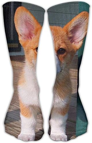 Baby Corgi Cotton Crew Sock Novelty Tube Socks 11.8 Inch Long For Adult Outdoor Workout Gaming
