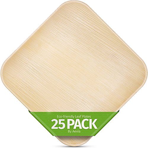 Bamboo Plates Disposable & Leafily Palm Leaf Plates 10 Inch Square