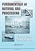 Fundamentals of Natural Gas Processing (Dekker Mechanical Engineering)