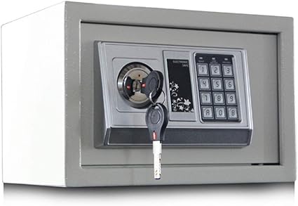 DBSCD Cajas Fuertes para Cerradura con Llave para el hogar ...