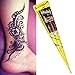 Prettywan Temporary Tattoo Cones, 12Pcs Paste Cones Black Body Art Painting Drawing