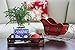 Costa Farms Live Christmas Tree, Small Norfolk Pine in Christmas Decor Plant Pot, Christmas Ornament, Holiday Gift Decoration for Room Decor, 10-12 Inches Tall