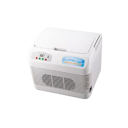 GEXING Auto Kühlschrank Refrigeradores De 12L Mini Neveras Nevera ...