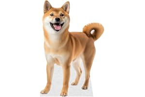 DORDOR & GORGOR Dog - Shiba Inu - Life Size Cardboard Cutout Standup People with Support Standee | Animals -