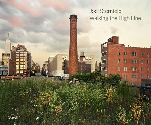 Amazon.com: Joel Sternfeld: Walking the High Line: 9783865219824