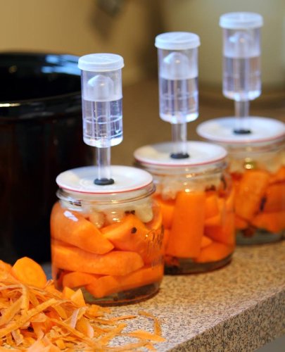 Homesteader's Supply Pickle-Pro vegetable Fermenting Lid