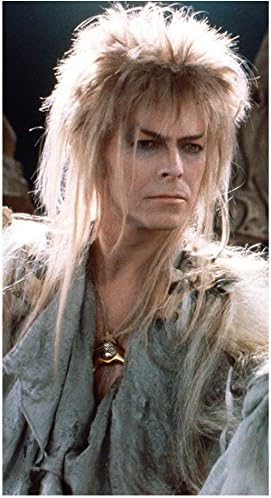 David Bowie 8inch X 10inch Photo Labyrinth Basquiat The Hunger The