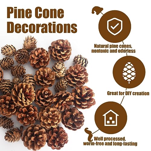 JOHOUSE 30PCS Christmas Pine Cones, Natural Pinecones for Crafts Assortment Rustic Pine Cones for Decorating Christmas Winter Holidays Table Bowl Fillers