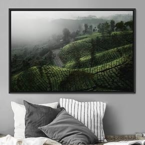 signwin Framed Canvas Wall Art Greenlands Aerial Dark...