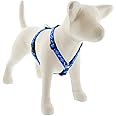 LupinePet Originals 3/4" Dapper Dog 20-32" Adjustable Roman Dog Harness for Medium Dogs