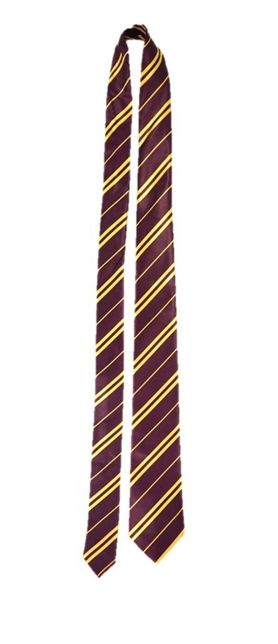 HENBRANDT Wizard School Red and Gold Fancy Dress Tie