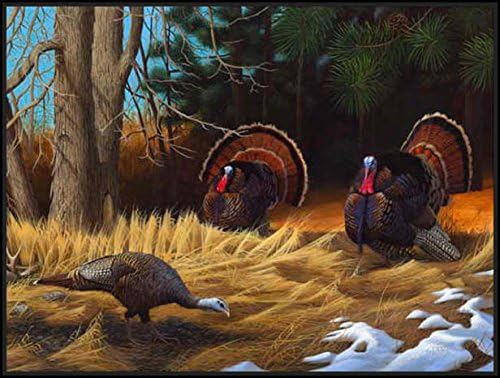 Turkies