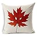 Wonder4 Geography Theme Throw Pillow Covers Home Decorative Map Art Throw Pillow Cases Couch Covers Decoration, Home Sofa Bedding Set of 2 (18x18)