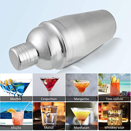 Zeonetak 24oz Cocktail Shaker Set,Bartender Kit for An Wonderful Drink Mixing Experience at Home Bar,Stainless Steel Bar Tool Set with Shaker Tin,Jigger,Mixing Spoon,Ice Tong,Hawthorne Strainer, 5-PCS
