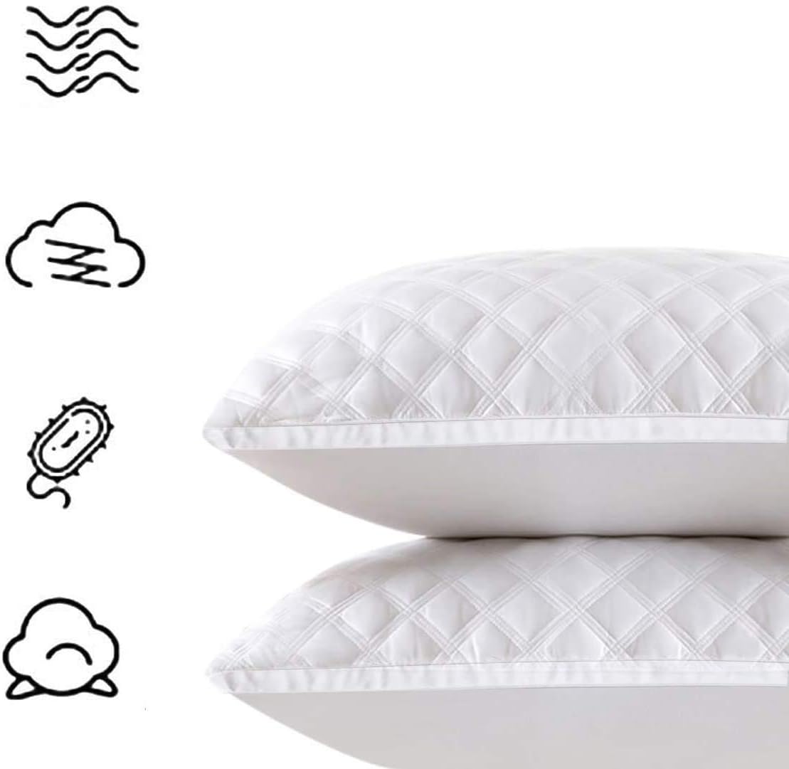 Besthls Bed Pillows for Sleeping，2-Pack Alternative Pillow with Soft Premium Plush Fiber Fill,Queen Size 20 x 30 Inches
