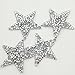 RD garden 10pcs Bling Bling Star Rhinestone Iron on Applique Patches Adhesive Stick Star Heat Transfer Garment Trimmings