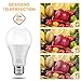 KINDEEP E26 LED Bulbs, 150W-200W Incandescent Bulb Equivalent, 23W, A21 LED Light Bulbs, 2500 Lumens, Not-Dimmable 6 Pack Daylight White 5000K