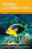 Fishes of the Caribbean Reefs (Caribbean Pocket Natural History Series) by Ian F. Took