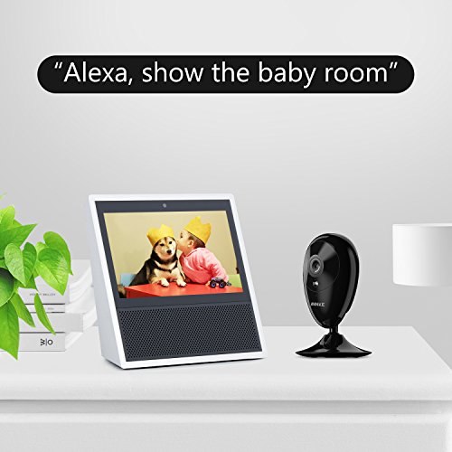 IP-Camera-ANNKE-Nova-S-1080P-HD-WiFi-Wireless-Security-Camera-for-HomeBabyPet-2-Way-Audio-100-Wire-Free-Work-with-Amazon-Alexa-and-IFTTT-Cloud-Service-Available