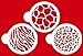Designer Stencils C473 Cookie Stencil Animal Skins, 4-Inch, Beige/Semi-Transparent