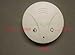 4GB Smoke Detector Hidden Spy Camera DVR with motion detection