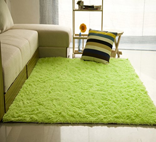 SANNIX Rectangular Shaggy Area Rugs and Carpet Super Soft Bedroom Carpet Rug for Kids Play(Fruit Green,0.6X1.2M)