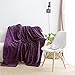 Qbedding Inc. Luxury Collection Microplush Flannel Fleece Blanket | Ultra Soft 380 GSM Lightweight All-Season Anti-Static Throw/Blanket for Sofa Couch Bed (Queen (78-Inch-by-90-Inch), Purple)