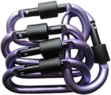 LeBeila 5 PCS Carabiner Climbing D Ring Keychain