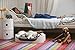 Keter by Curver Bunk Bed/Pet Carrier/Travel Crate with Cushions, 3-in-1 for Cats and Small Dogs, Small to Medium, Sandy/Misty Blue