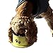 PETish Spaniel Bowl for Long Ear Dog - Ergonomic Personalized Custom Design Bowls, NO Tip Stainless Dish (Medium (17oz - 6.3 x 5.3 x 3.0inch), Banana Yellow)